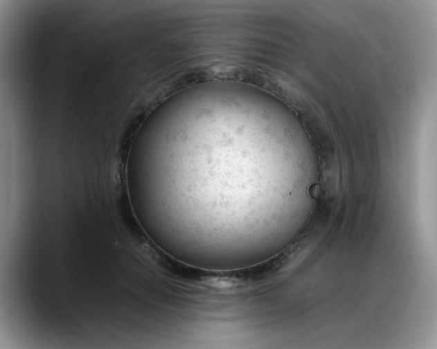 X0000088170654200705291932