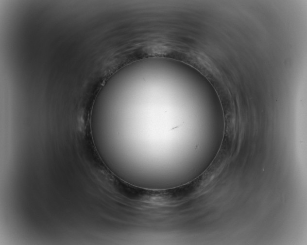 X0000088170655200705291932