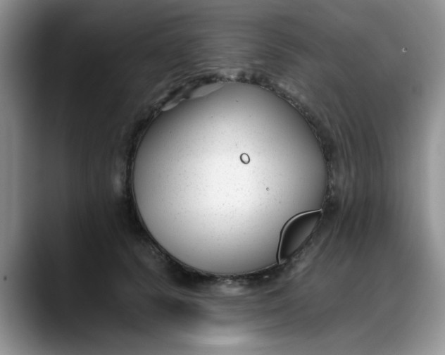 X0000088170656200705291933