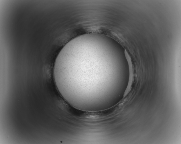 X0000088170658200705291933