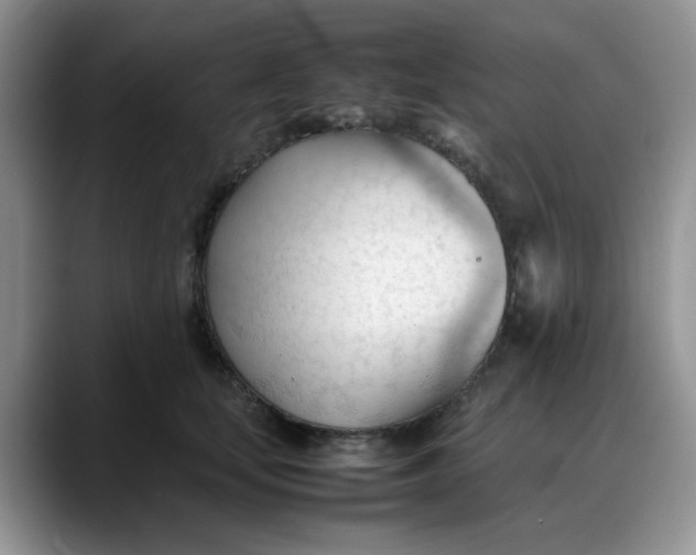 X0000088170659200705291933