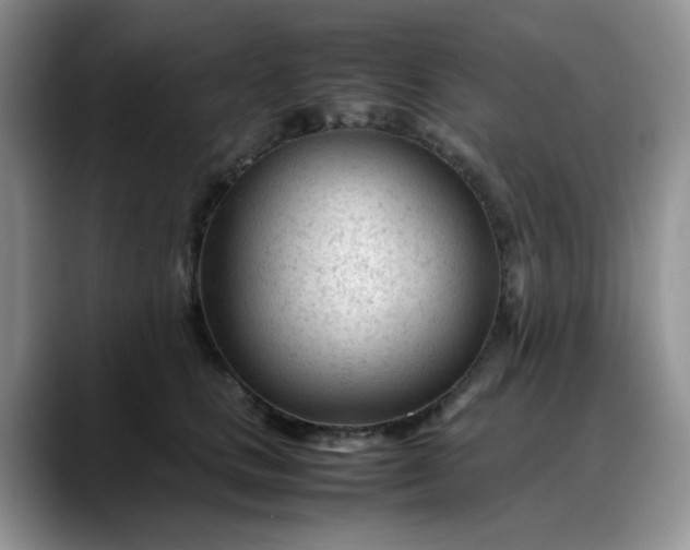 X0000088170661200705291933