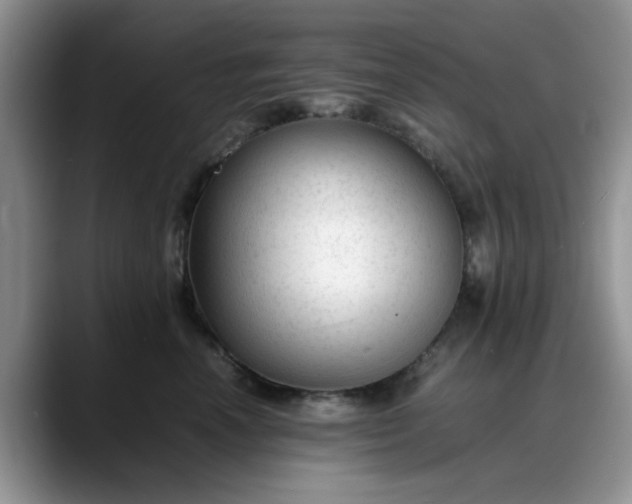 X0000088170666200705291933