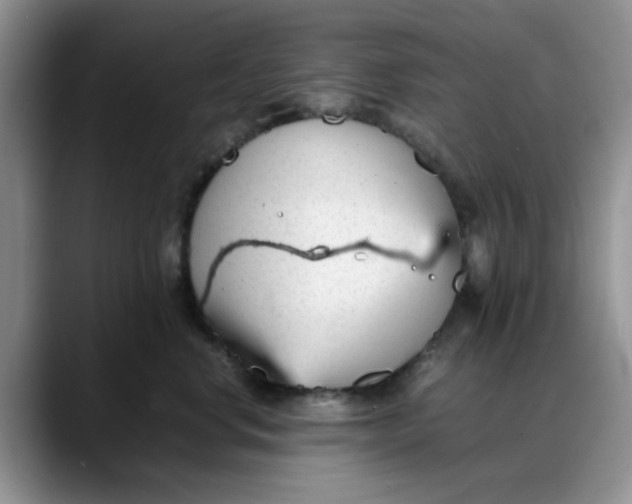 X0000088170668200705291933