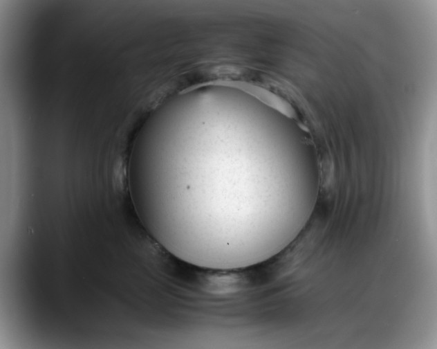 X0000088170669200705291933