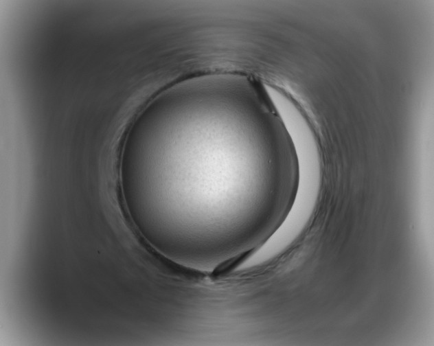 X0000088170673200705291932