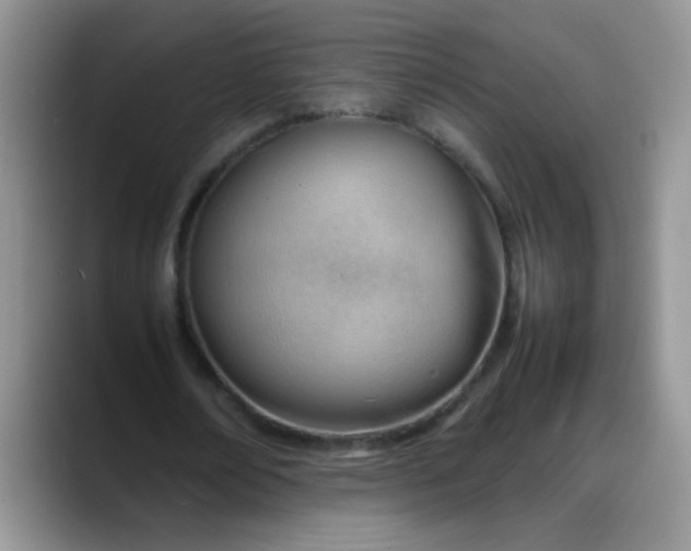 X0000088170674200705291932