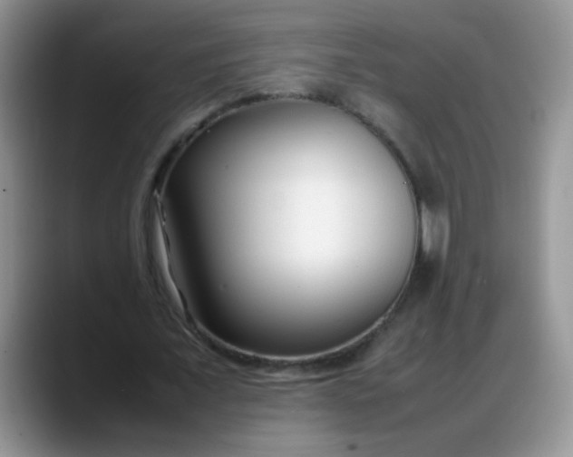 X0000088170675200705291932