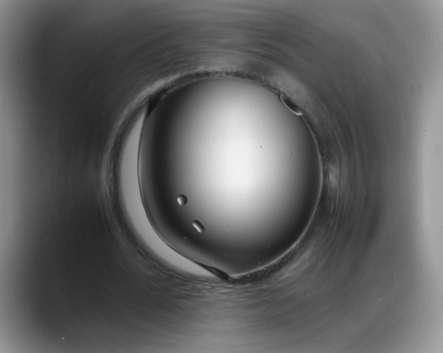 X0000088170676200705291932