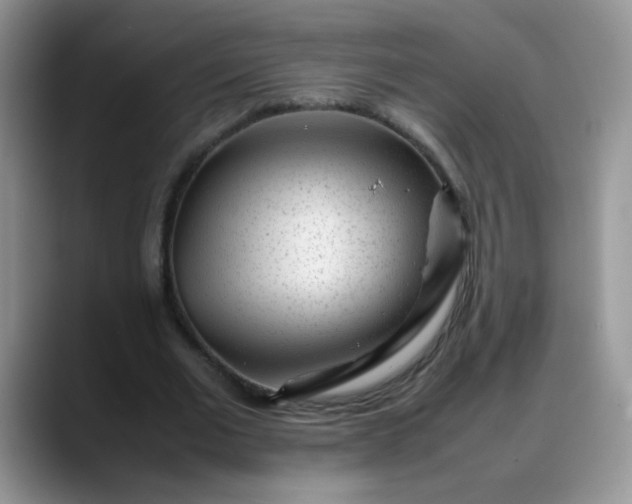 X0000088170677200705291932