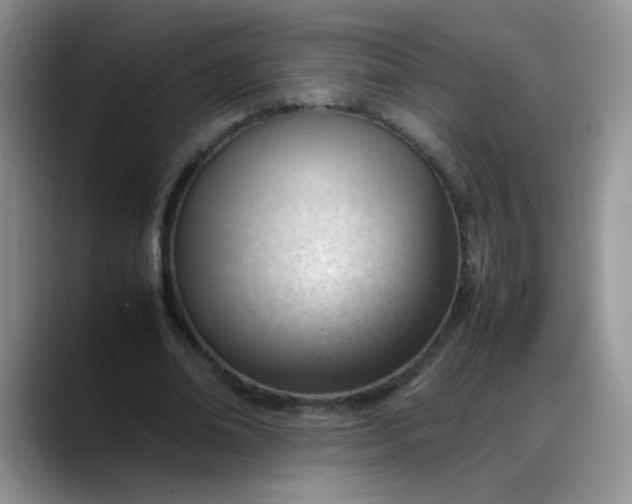 X0000088170678200705291932