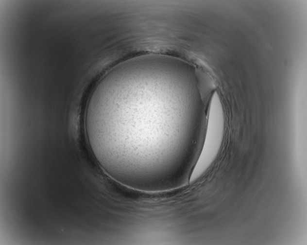 X0000088170679200705291932