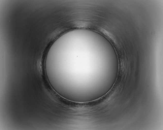 X0000088170682200705291932