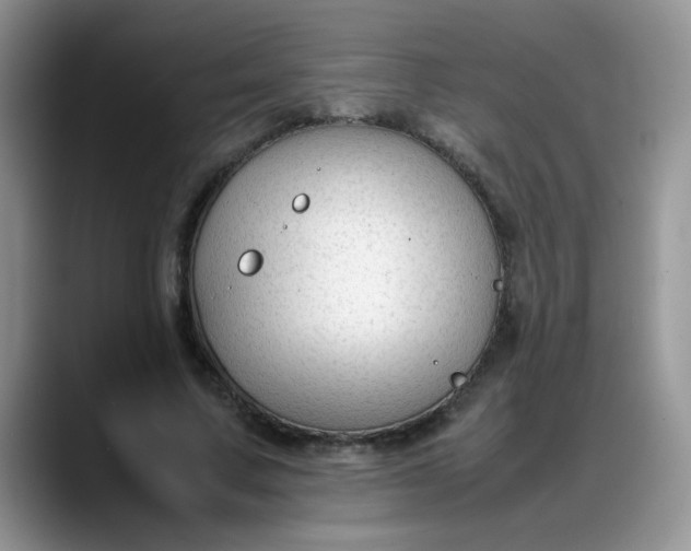 X0000088170683200705291932