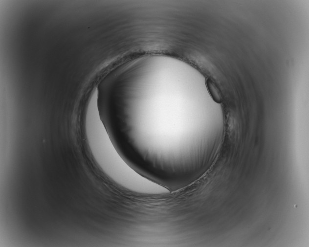 X0000088170684200705291932