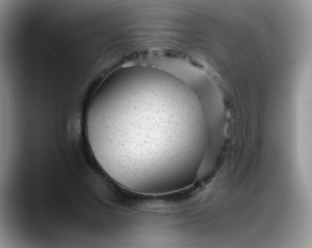 X0000088170685200705291932