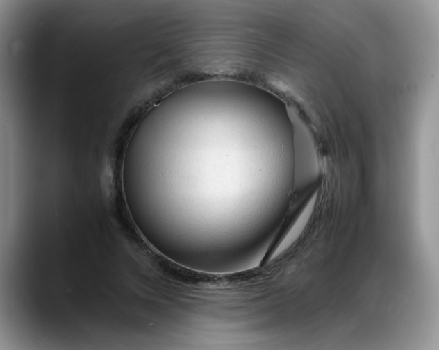 X0000088170688200705291932