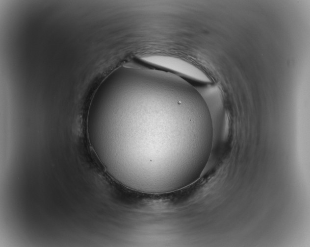 X0000088170689200705291932