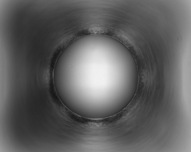 X0000088170690200705291932