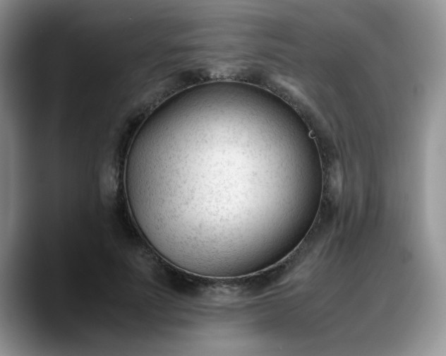 X0000088170691200705291932