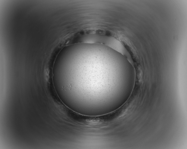 X0000088170693200705291932