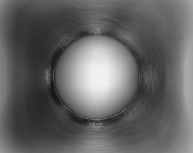 X0000088170694200705291932