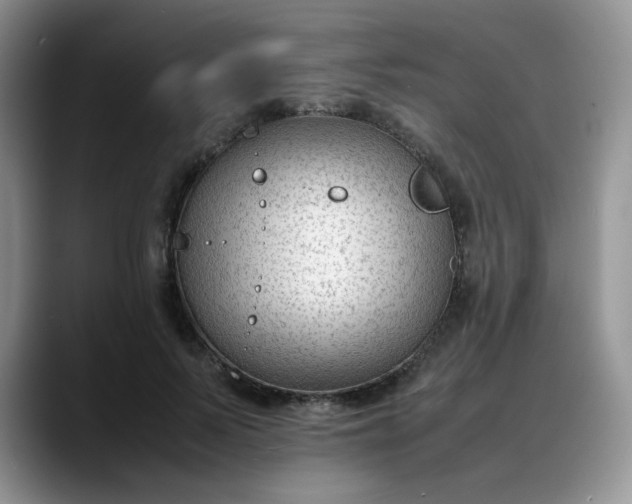 X0000088170695200705291932