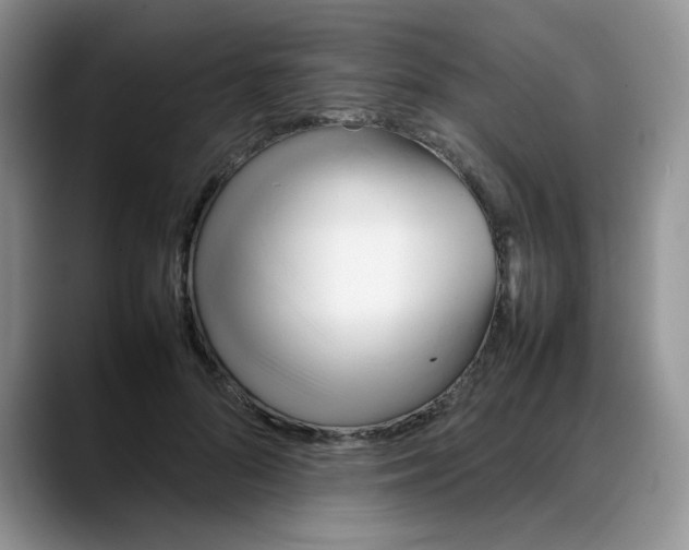 X0000088170696200705291932