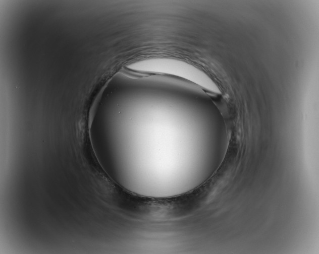 X0000088170697200705291932