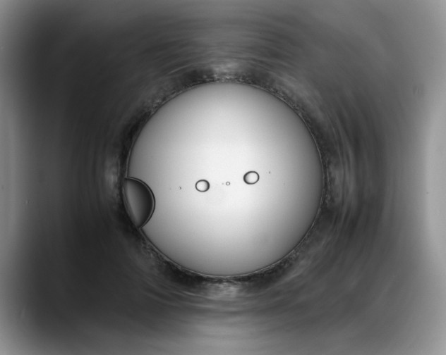 X0000088170698200705291932