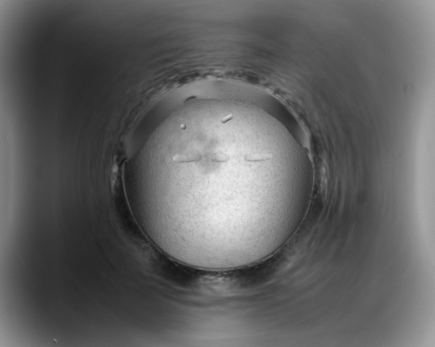 X0000088170699200705291932