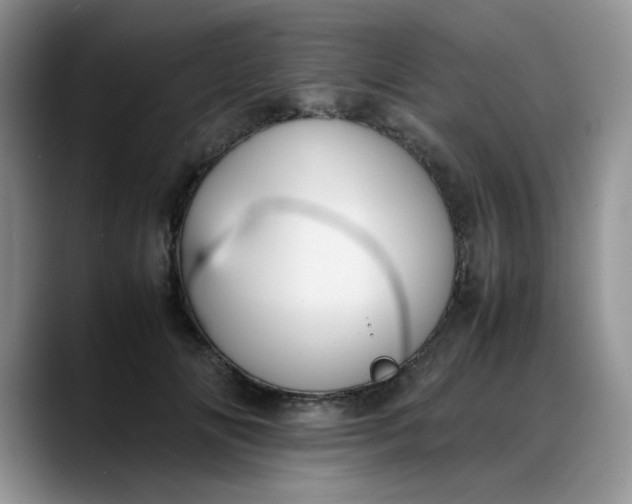 X0000088170702200705291932