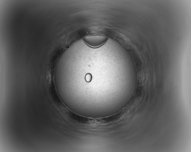 X0000088170703200705291932