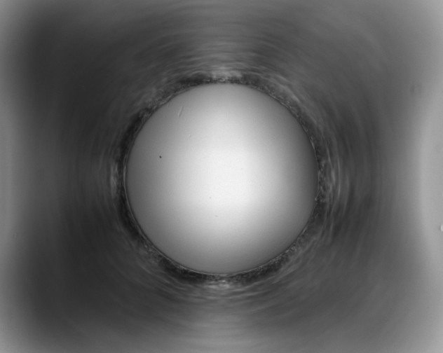 X0000088170704200705291932