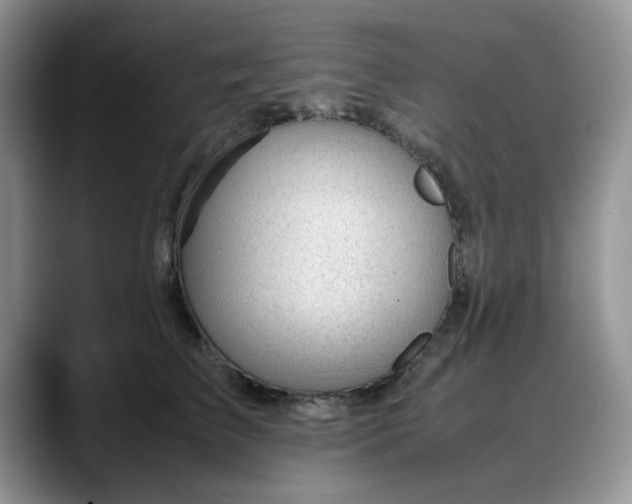 X0000088170709200705291932