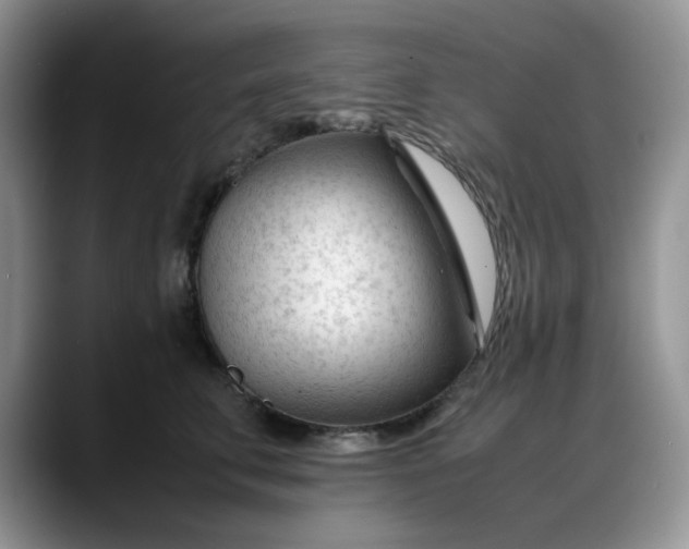 X0000088170711200705291932