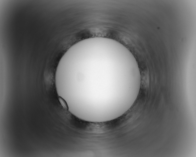 X0000088170713200705291932