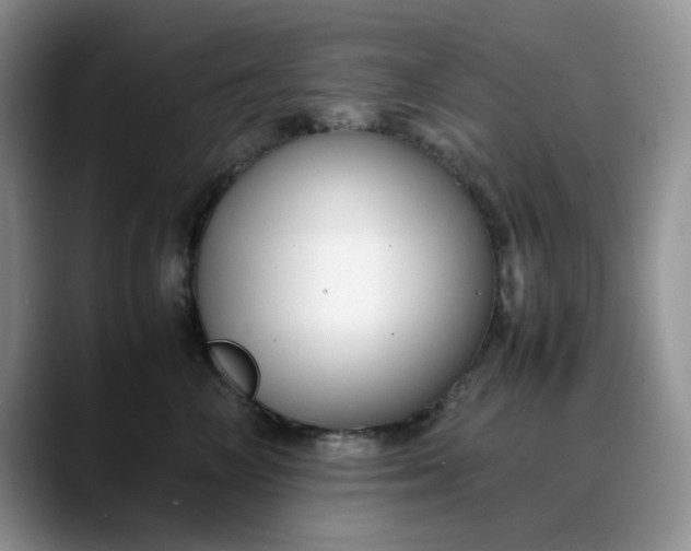 X0000088170714200705291932