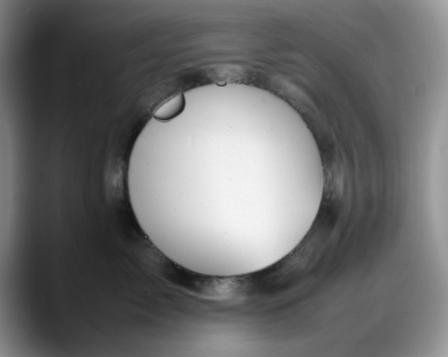 X0000088170717200705291932