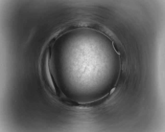 X0000088170722200705291931