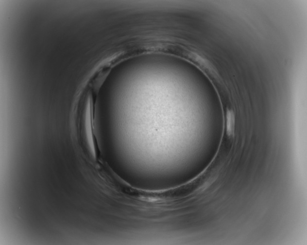 X0000088170723200705291931