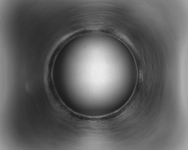 X0000088170724200705291931