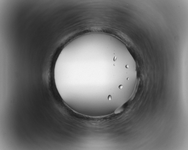 X0000088170728200705291931