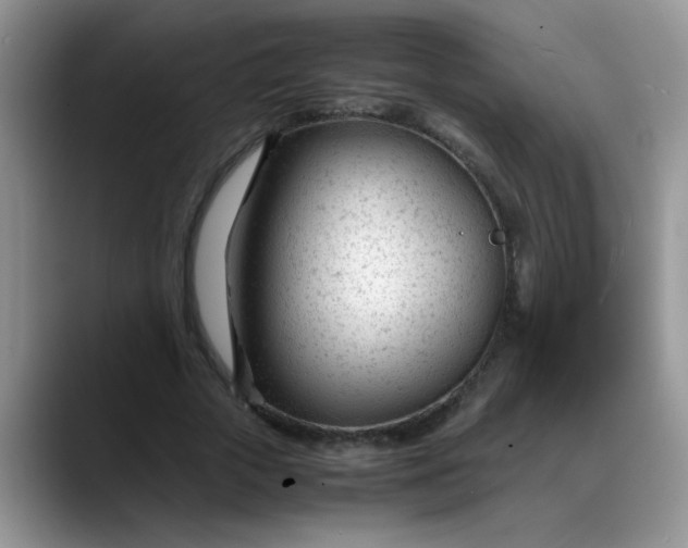 X0000088170729200705291931