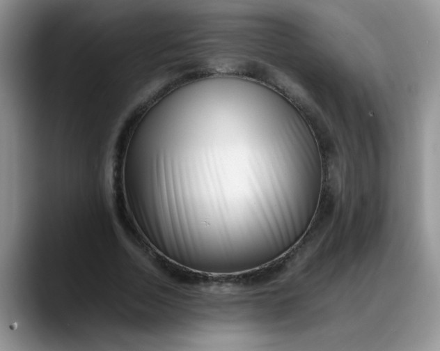 X0000088170730200705291931