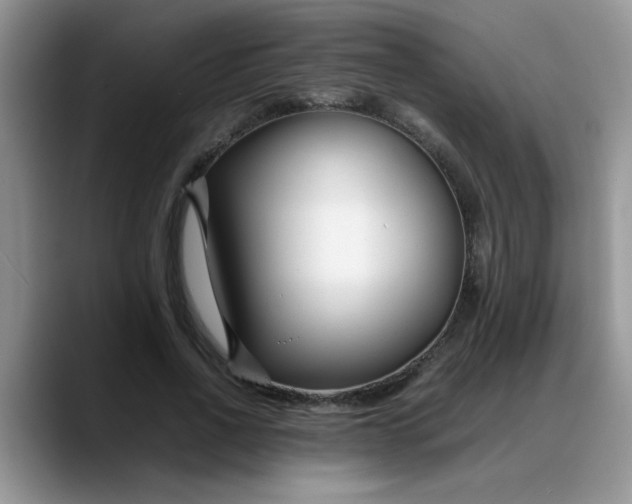 X0000088170734200705291931