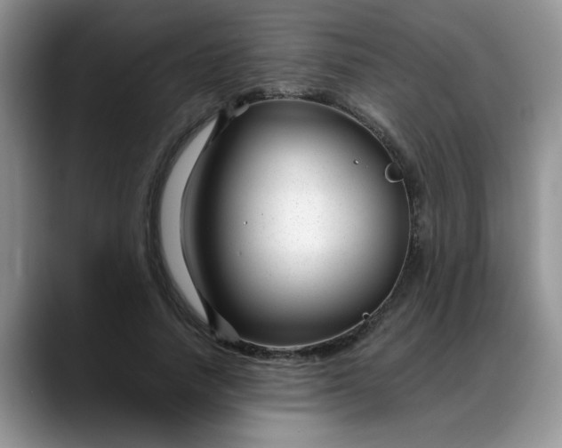 X0000088170738200705291931