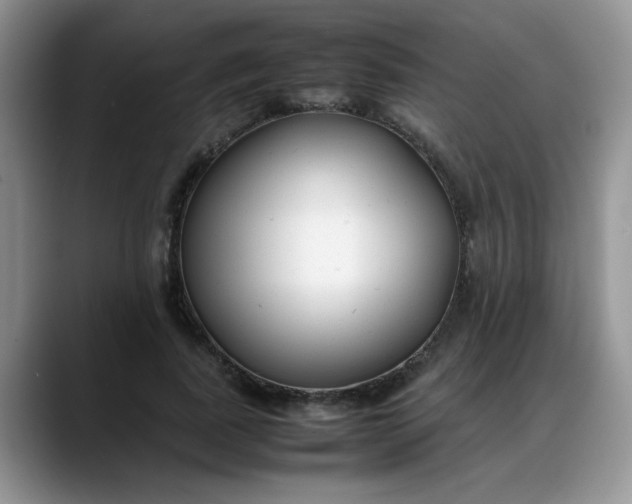 X0000088170739200705291931