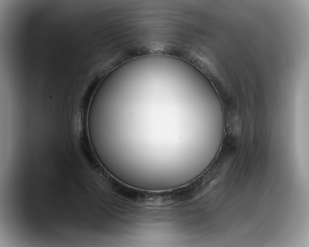 X0000088170740200705291931