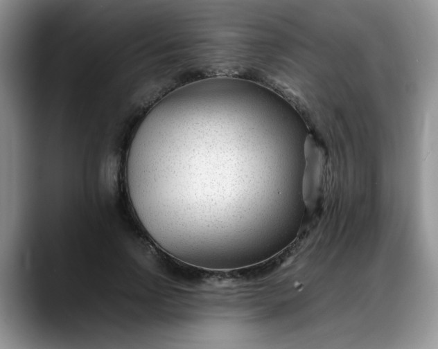 X0000088170742200705291931